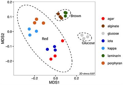 Gene Expression Analysis of Zobellia galactanivorans during the Degradation of Algal Polysaccharides Reveals both Substrate-Specific and Shared Transcriptome-Wide Responses